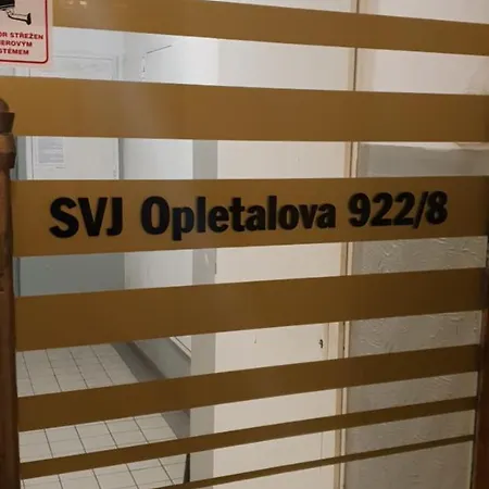 Daire Opletalova Apt *